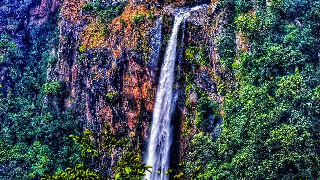Similipal National Park Credit Canva Similipal National Park Credit Canva
