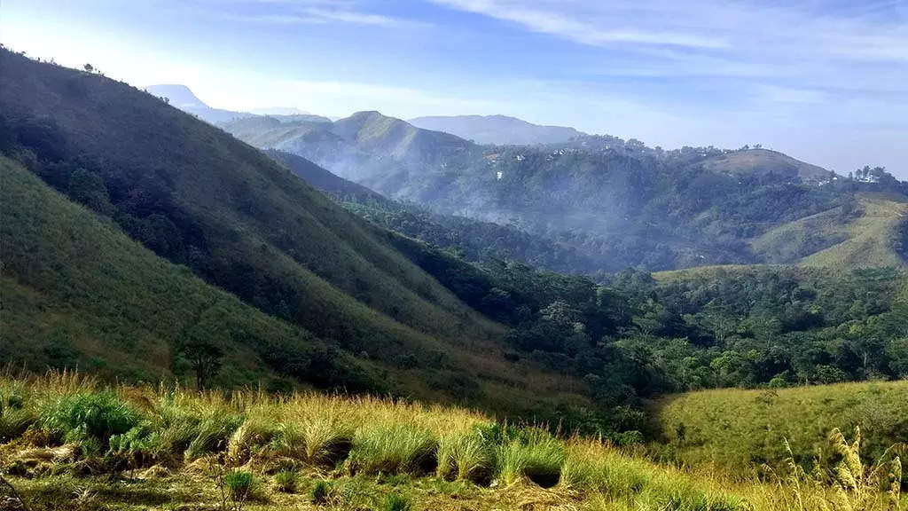 Vagamon Meadows Uluppunny