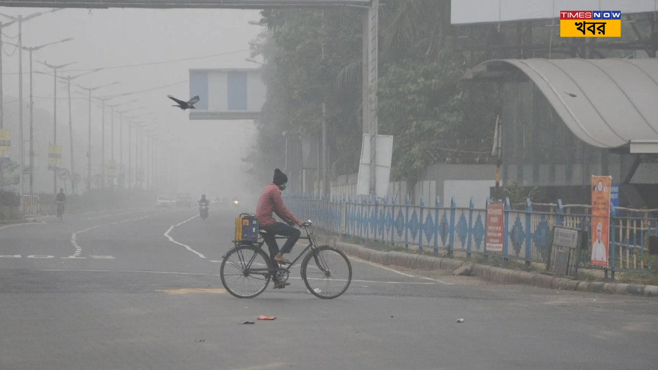 ২৯ ডিসেম্বর