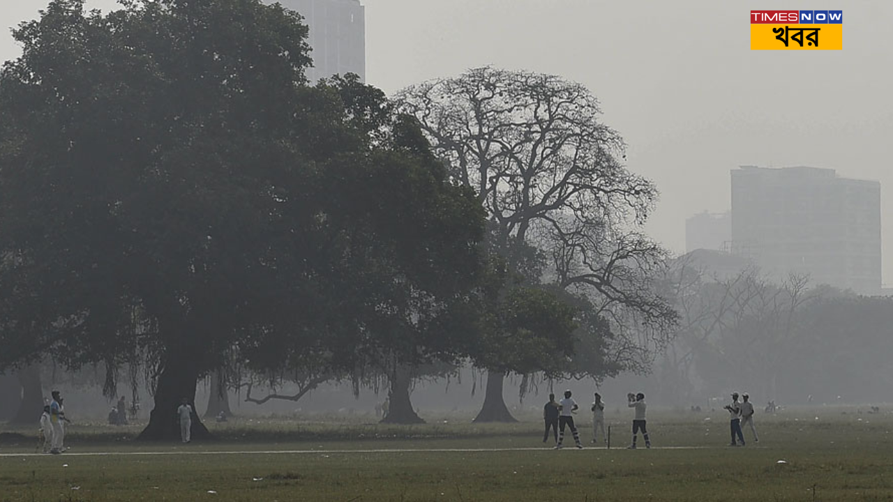 ২২ ডিসেম্বর