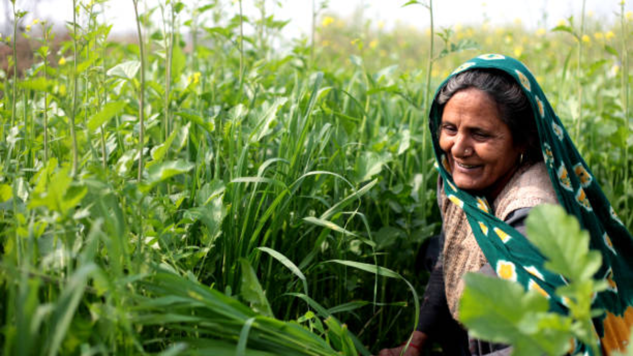 सेन्डेक्टच्या अनुदान योजनेचा लाभ