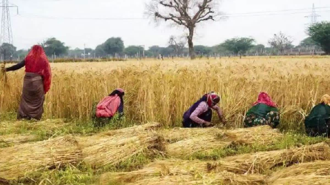 हरित क्रांतीच्या दिशेने वाटचाल