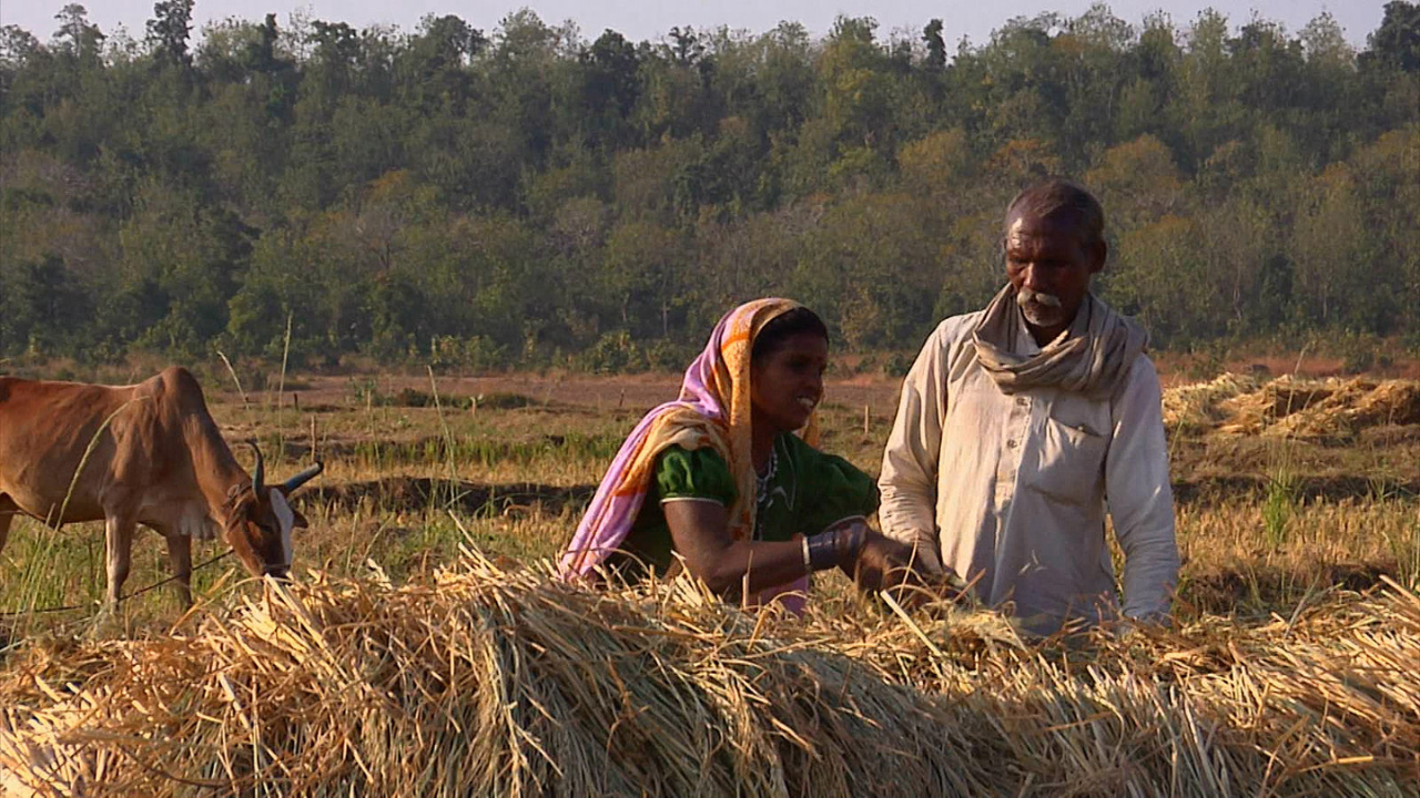 चांगले उत्पन्न मिळण्यास मदत