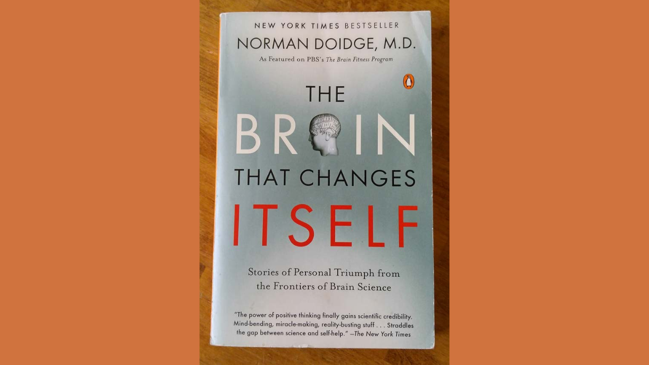 The Brain That Changes Itself Stories of Personal Triumph from the Frontiers of Brain Science by Norman Doidge