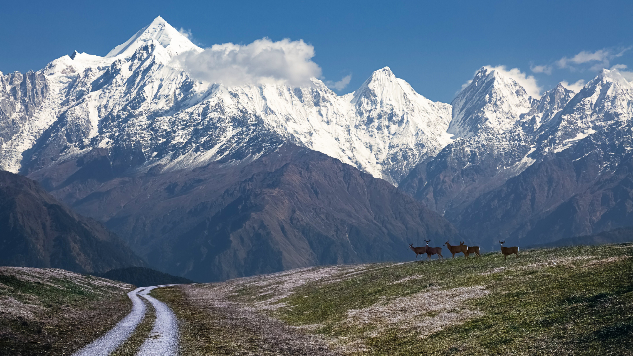 Munsiyari Uttarakhand