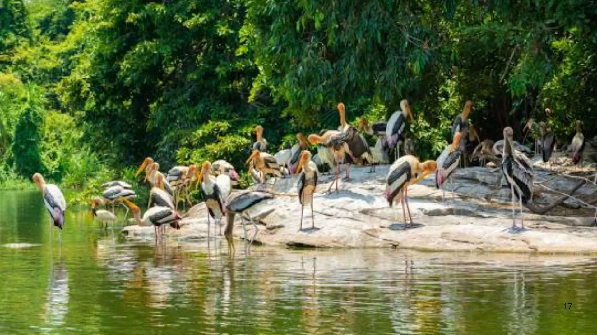 ಮೈಸೂರಿನ ಇತರೆ ಪ್ರವಾಸಿ ತಾಣಗಳು