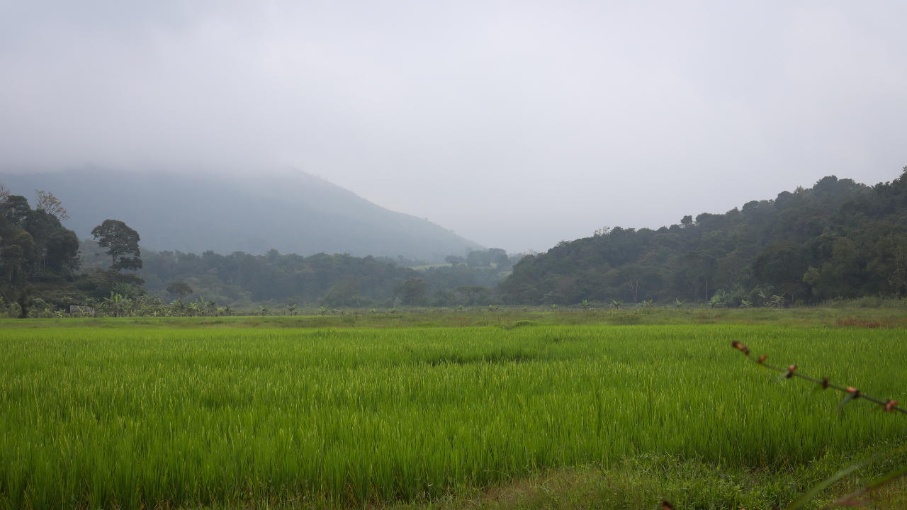 Sakleshpur