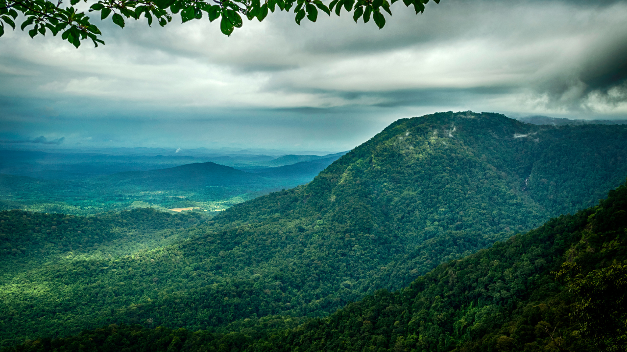 Agumbe