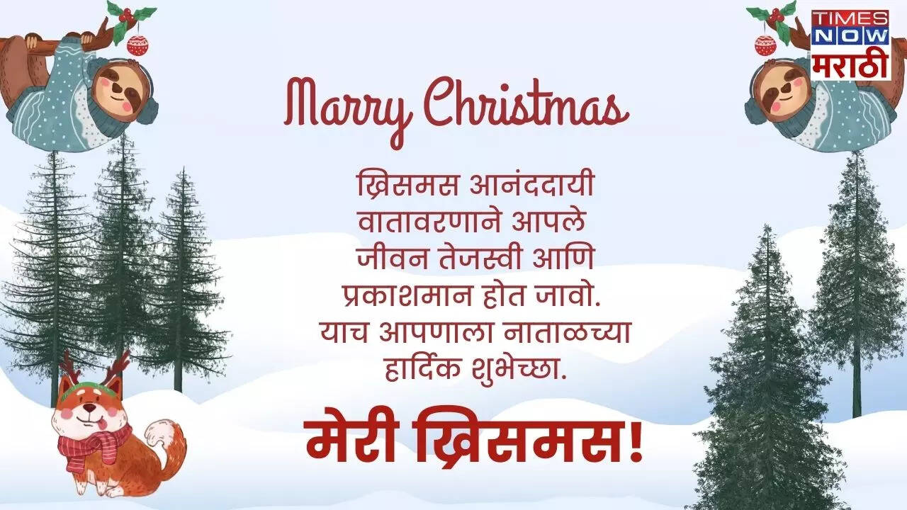 Merry Christmas 2024 Wishes Shubhechha, Images, Quotes, Messages, Text
