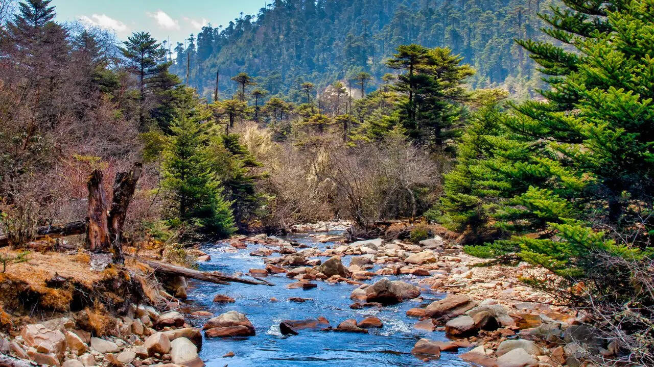 Jigme Dorji National Park Bhutan Jigme Dorji National Park Bhutan