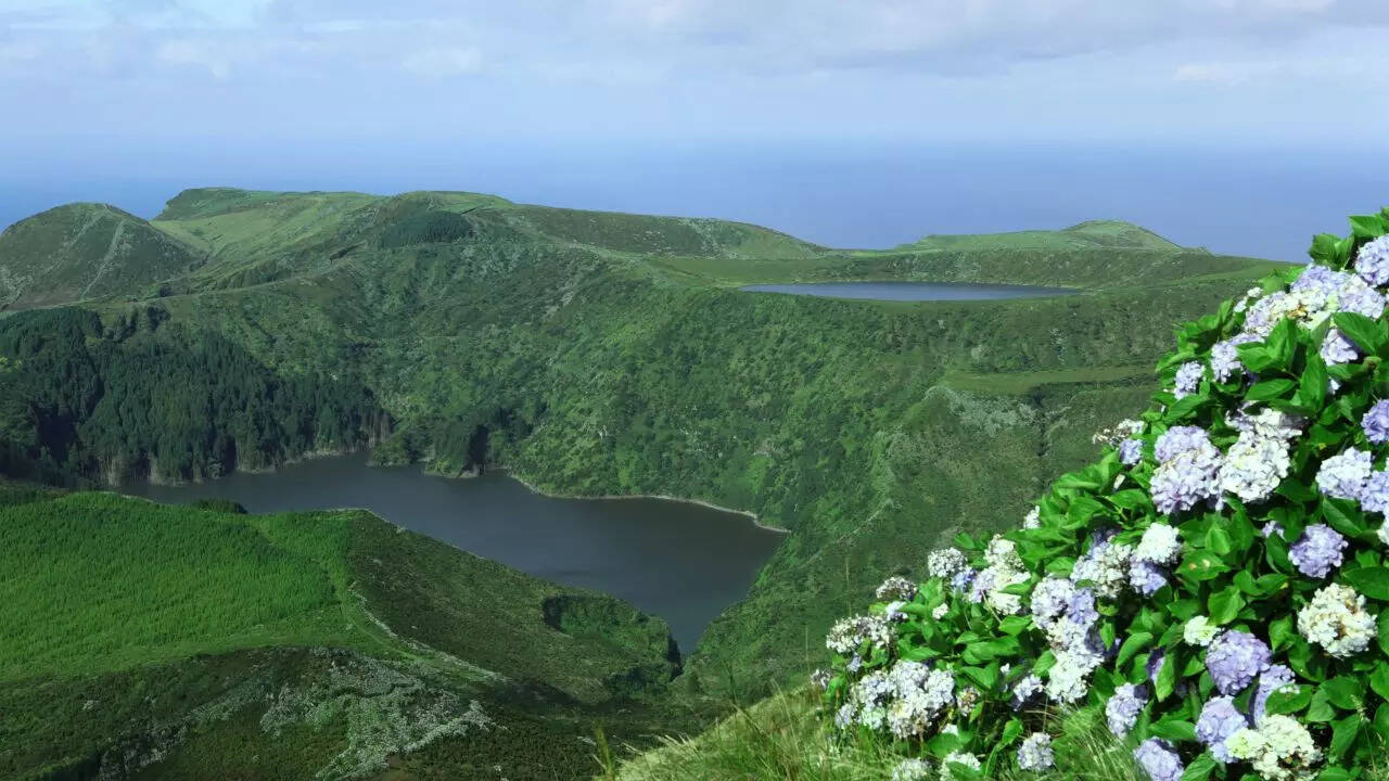 flores island azores flores island azores