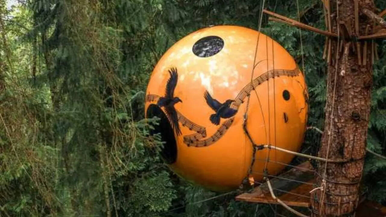 Free Spirit Spheres Canada Free Spirit Spheres Canada