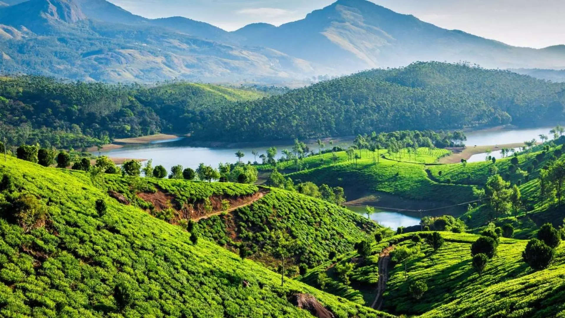 ಮುನ್ನಾರ್