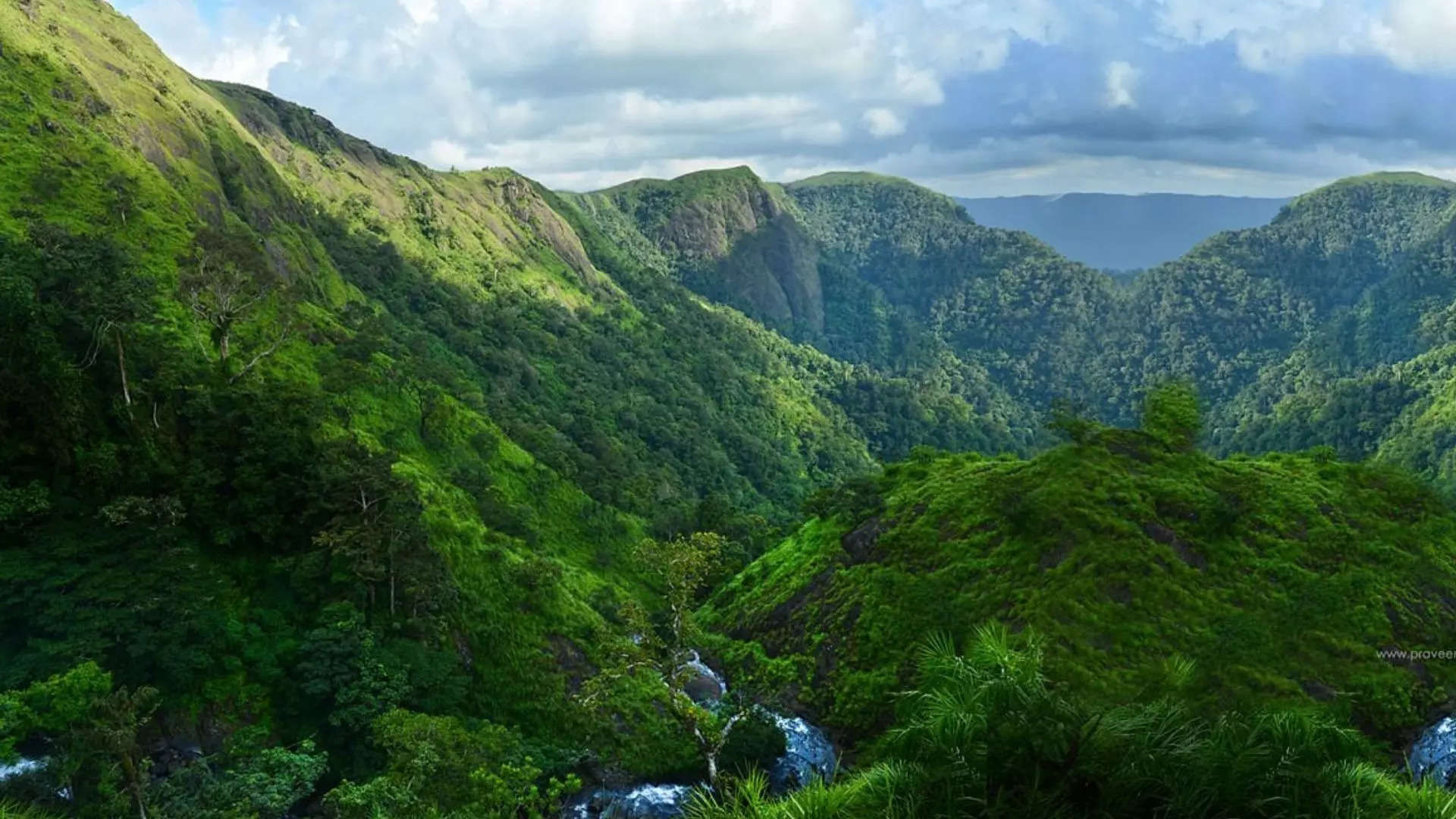 ಪರುಂತುಂಪರಾ