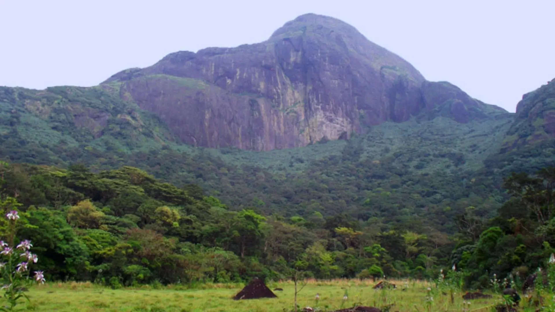 ಅಗಸ್ತ್ಯಕೂಡಮ್