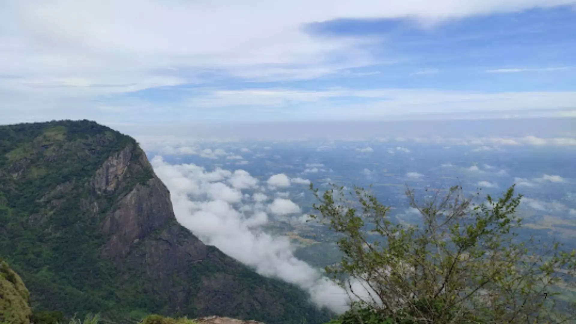 ನೆಲ್ಲಿಯಂಪತಿ