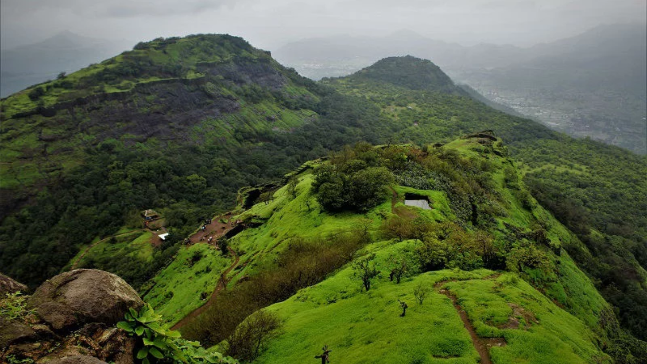 राजमाची ट्रेक 