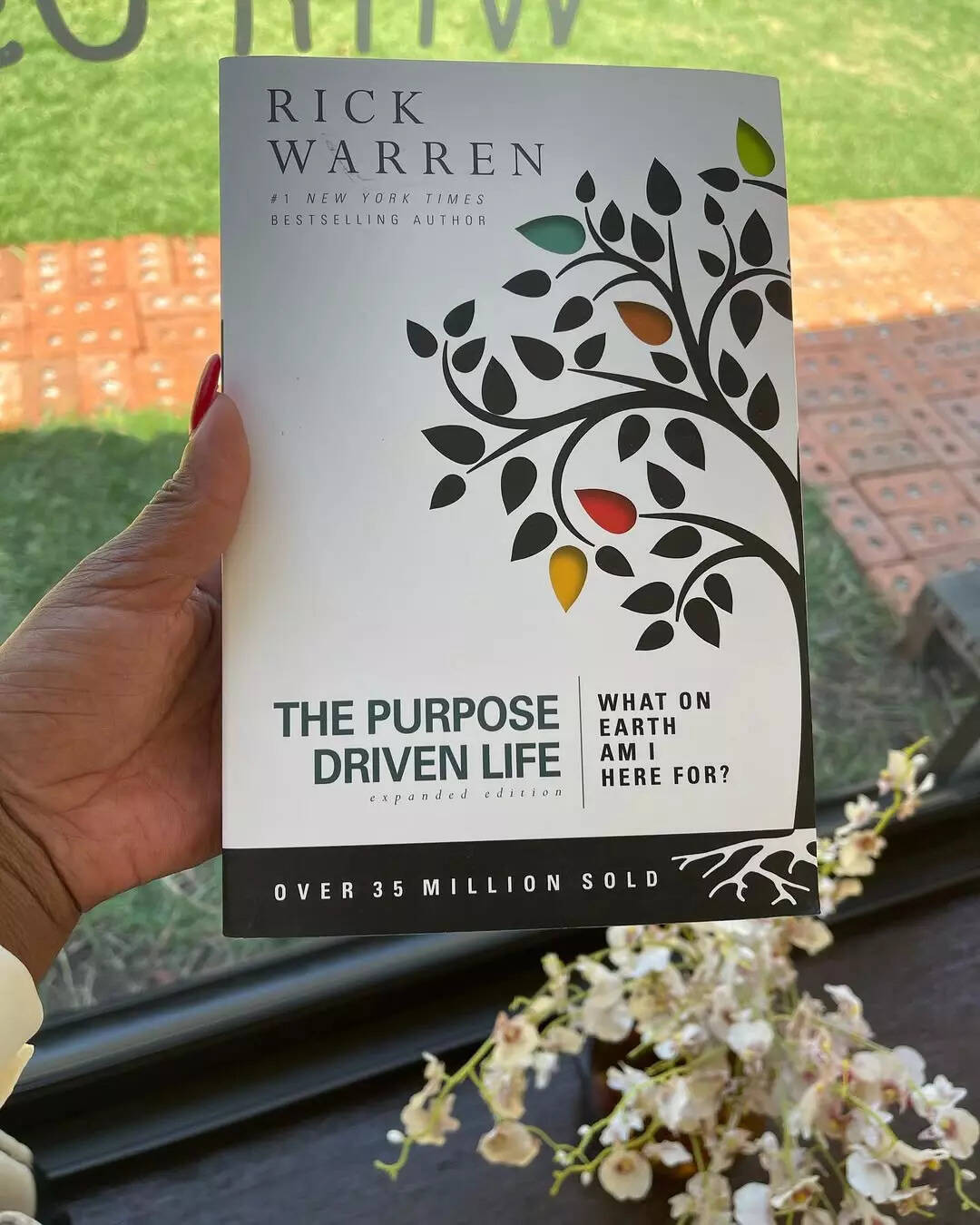 10 Non-Fiction Books to Help You Find Purpose in Life