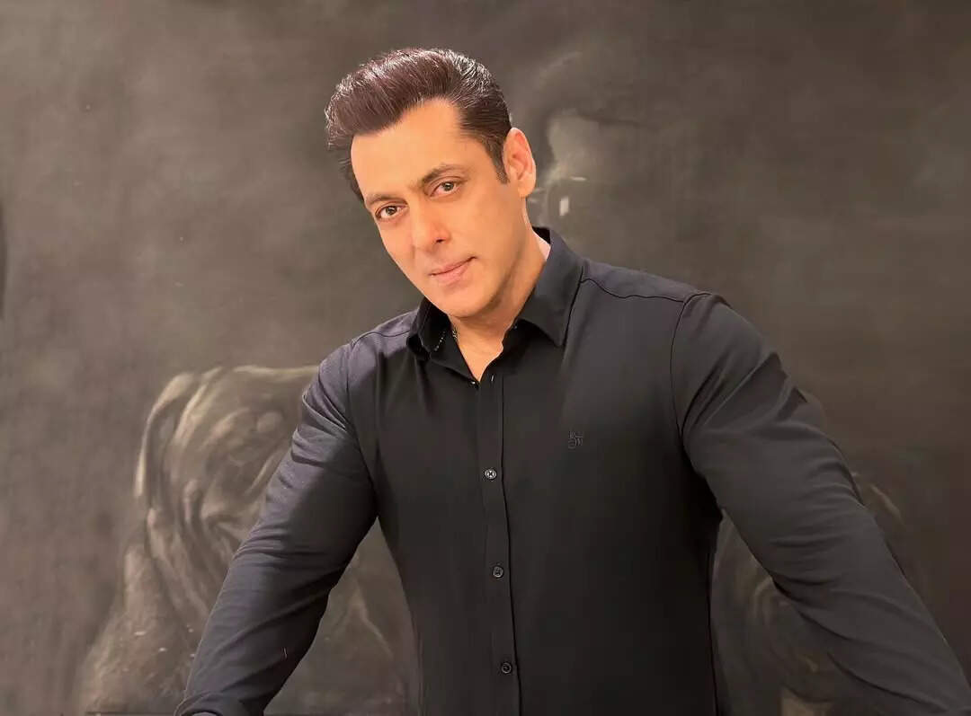 Recap 2024 Shah Rukh Khan, Salman Khan To Ranbir Kapoor, Bollywood