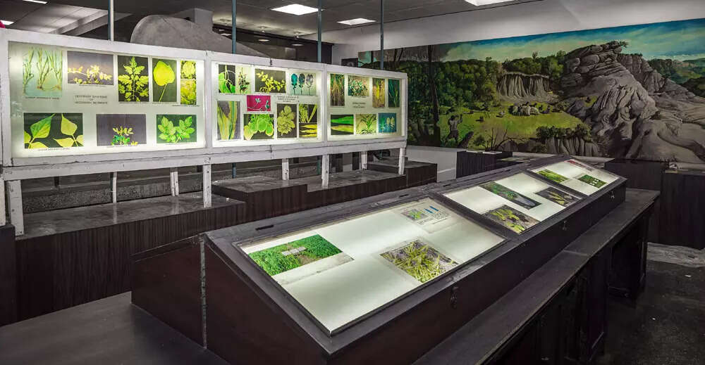 Punjab Agricultural University Museum Punjab Agricultural University Museum