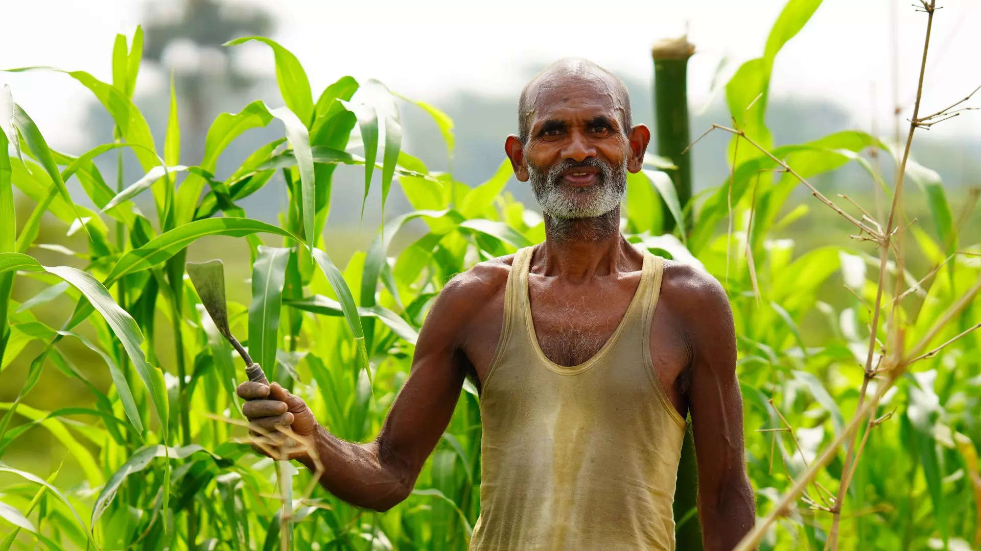 ಈ ರೀತಿ ಆನ್ಲೈನ್ನಲ್ಲಿ ನೊಂದಾಯಿಸಿಕೊಳ್ಳಿ