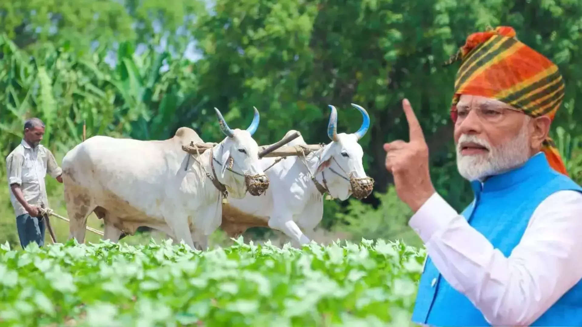 ಪಿಎಂ ಕಿಸಾನ್ ಯೋಜನೆ