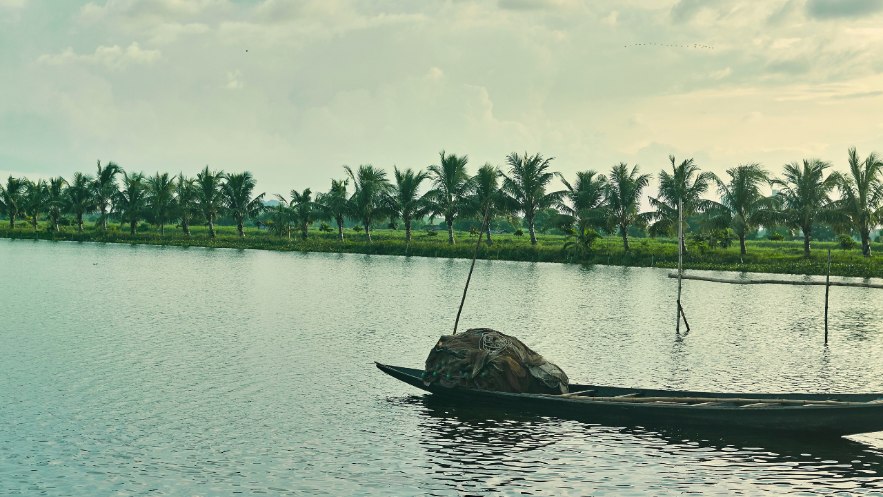 East Kolkata Wetlands West Bengal