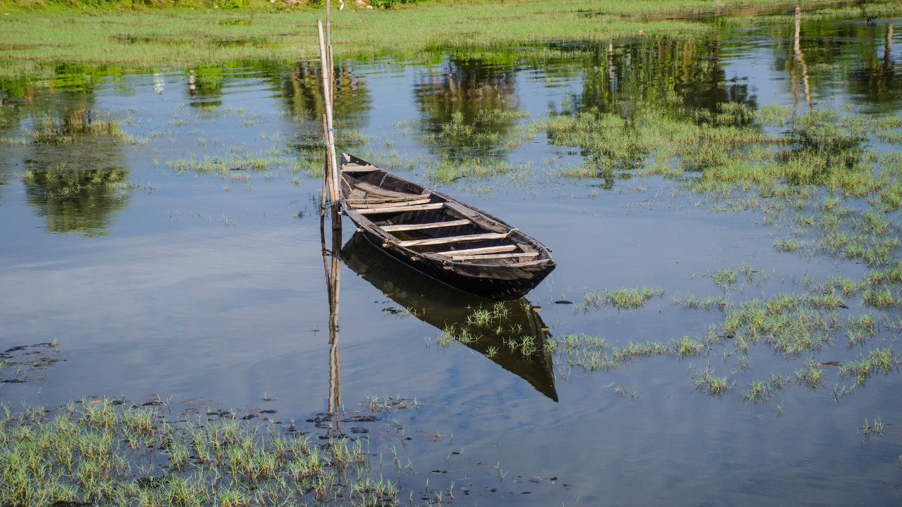 Chilika Lake Odisha