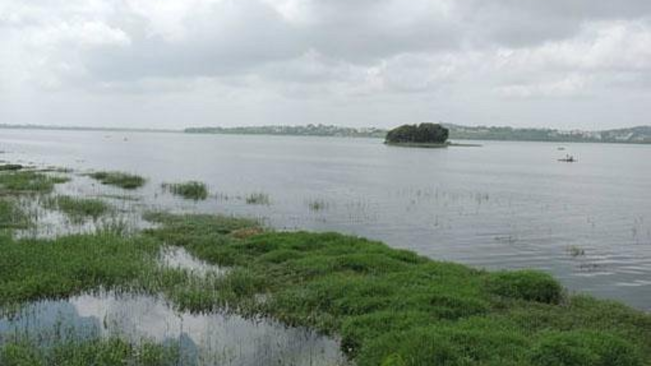 Bhoj Wetland Madhya Pradesh