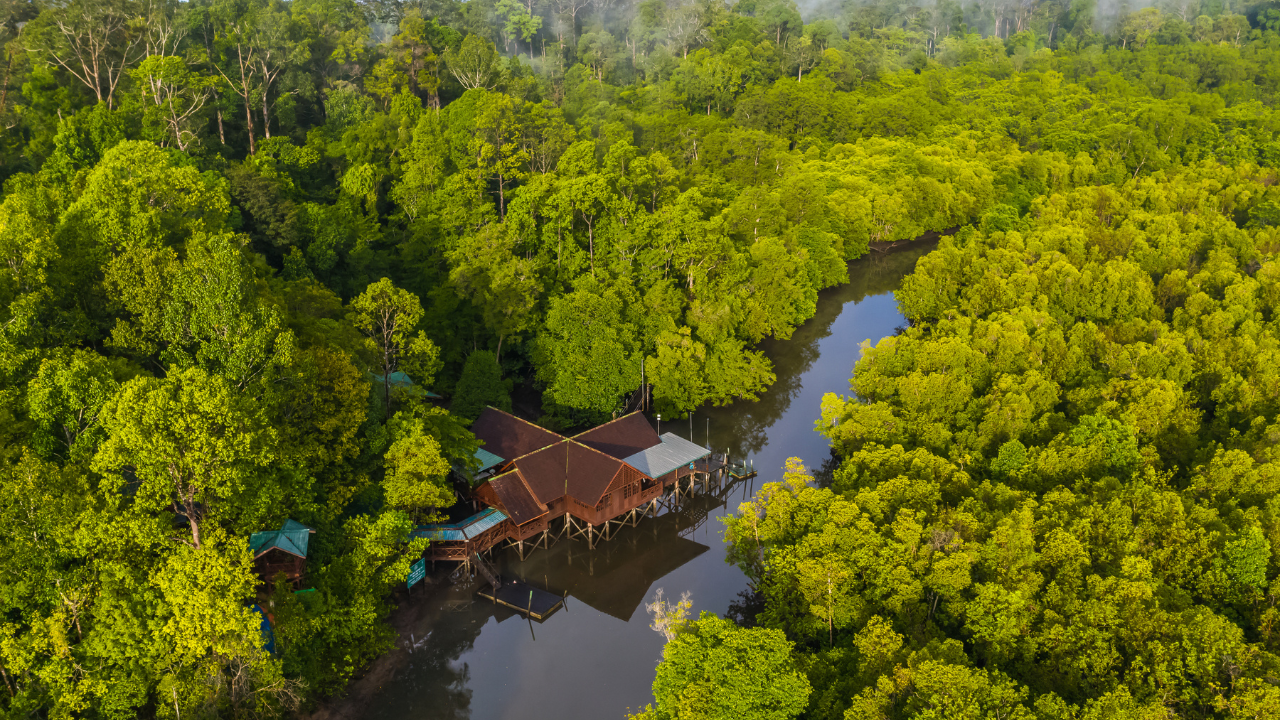 Bhitarkanika Mangroves Odisha