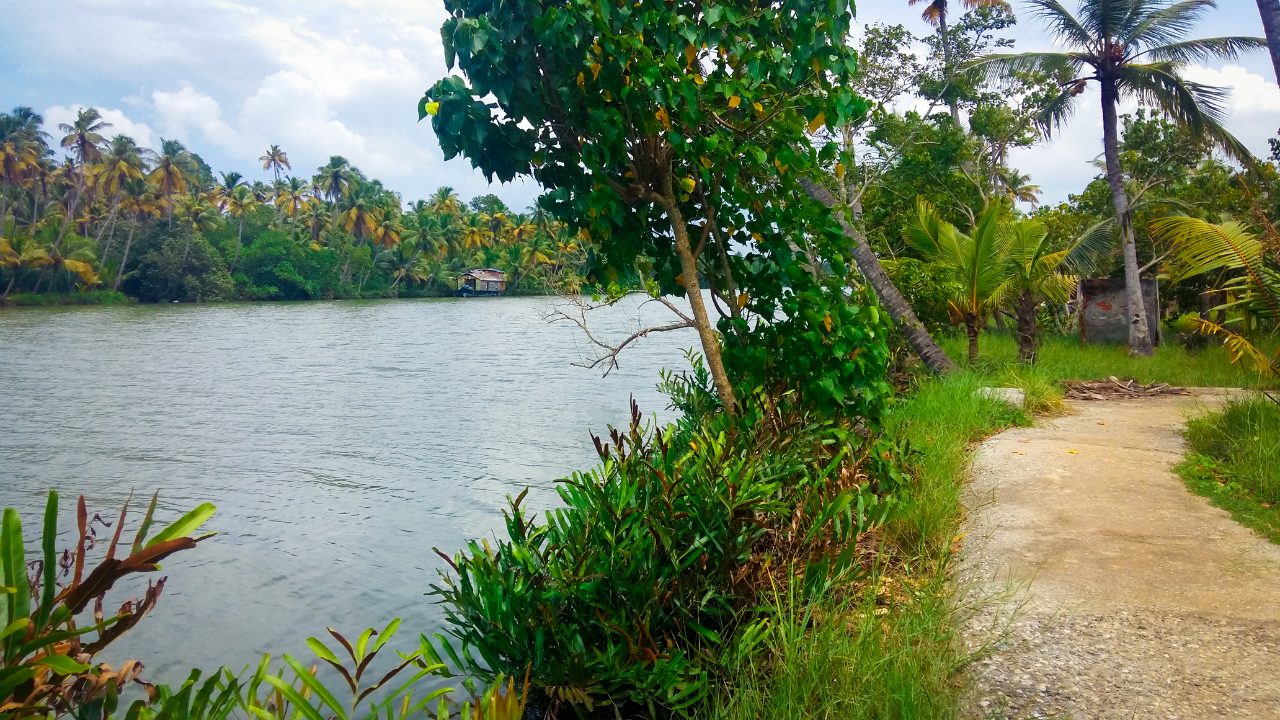 Ashtamudi Wetland Kerala