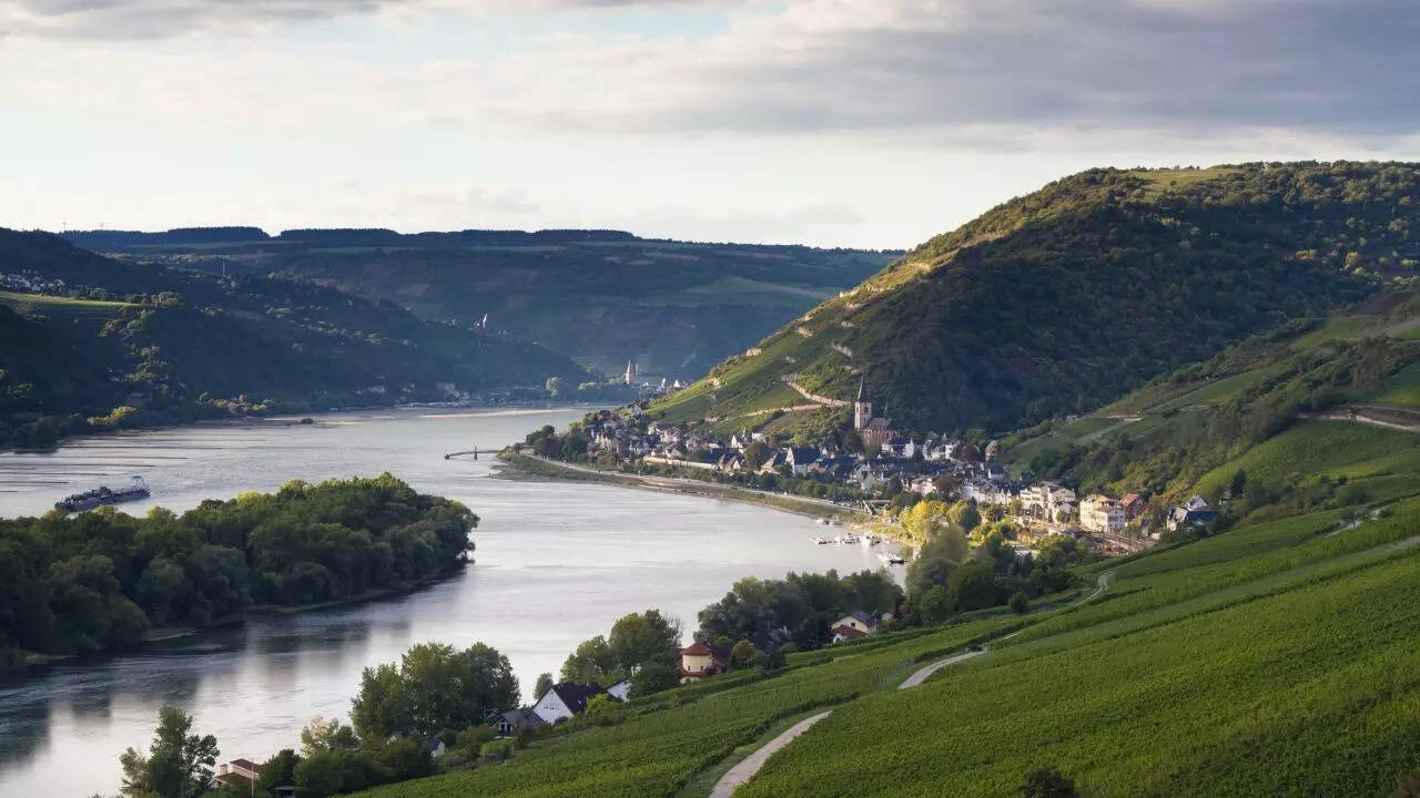 Rhine Valley Credit Canva Rhine Valley Credit Canva