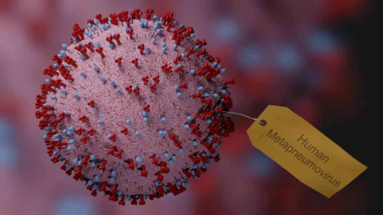 HMPV Virus 