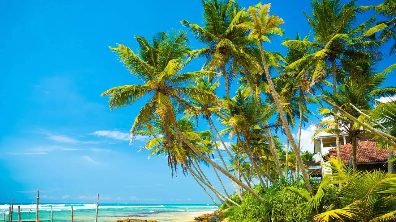 Ahangama Sri Lanka Credit Canva Ahangama Sri Lanka Credit Canva