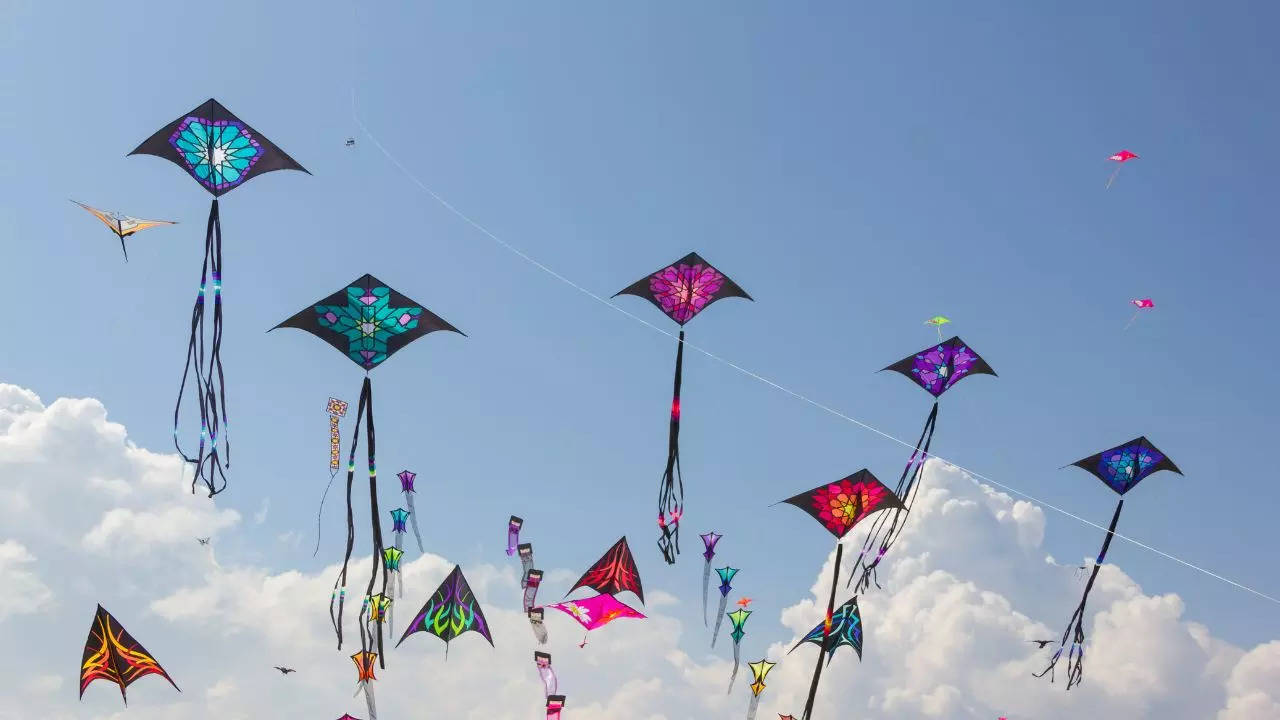 makar sankranti credit canva