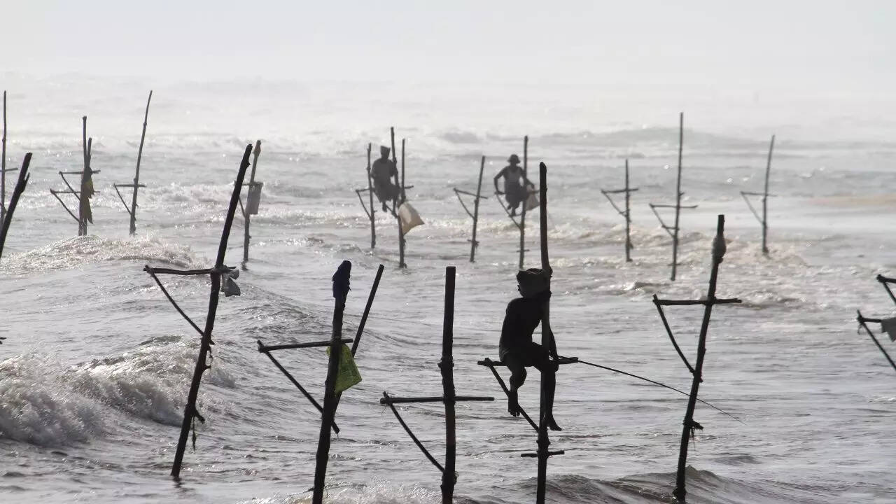 Stilt Fishing Credit Canva