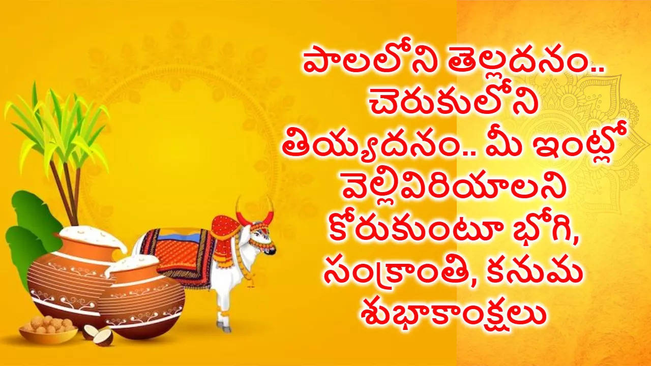 Sankranthi Wishes