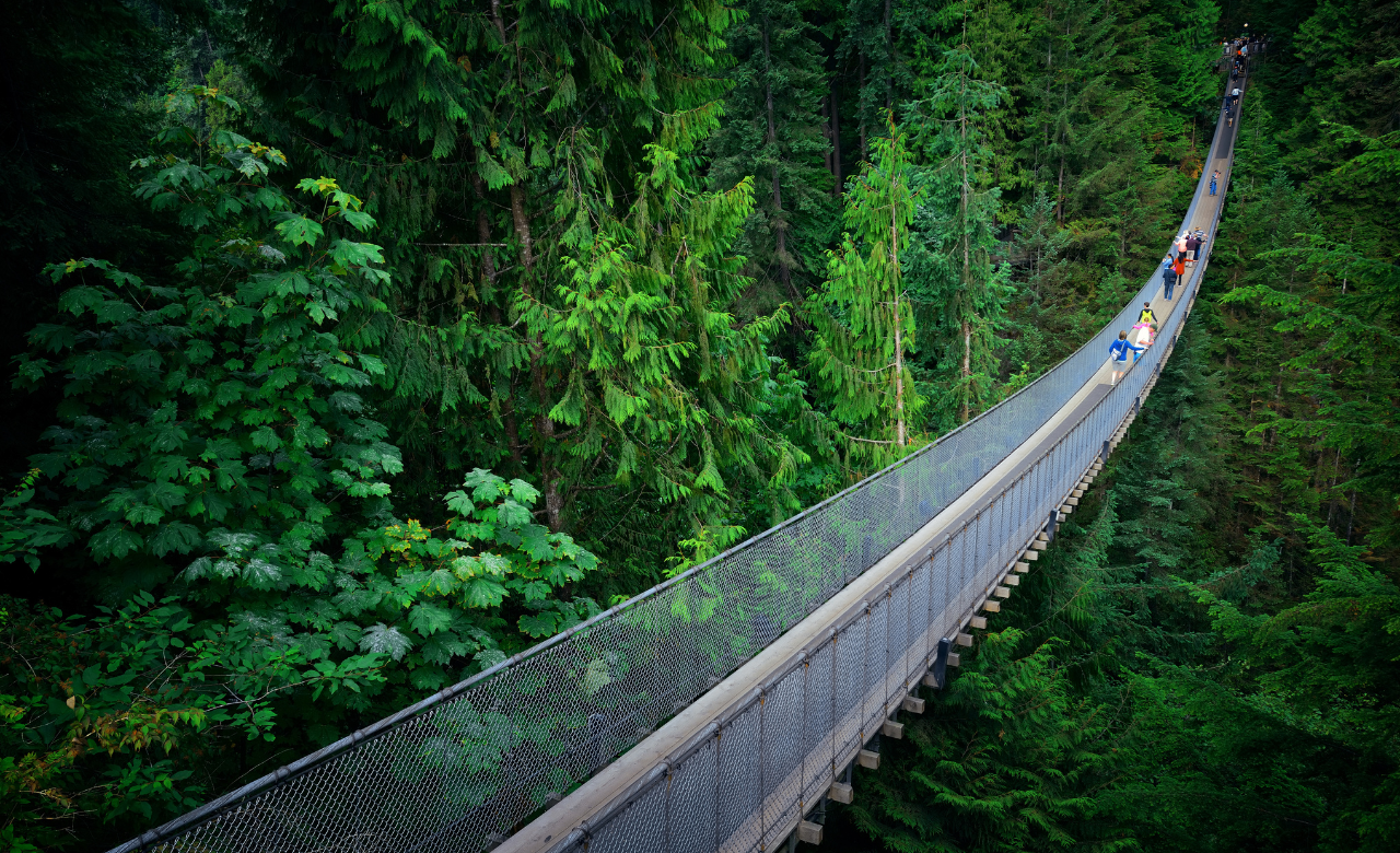 Capilano Suspension Bridge Park Vancouver British Columbia