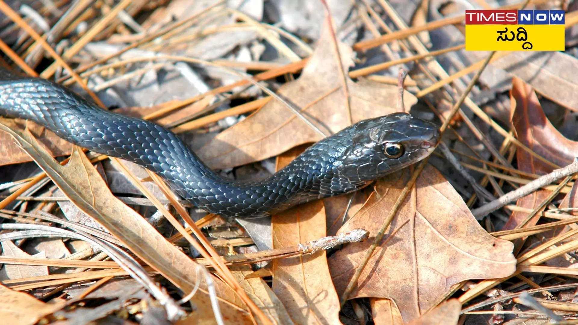 ಲೈಂಗಿಕತೆ ಮತ್ತು ಆಸೆಗಳಿಗೆ ಸಂಬಂಧ