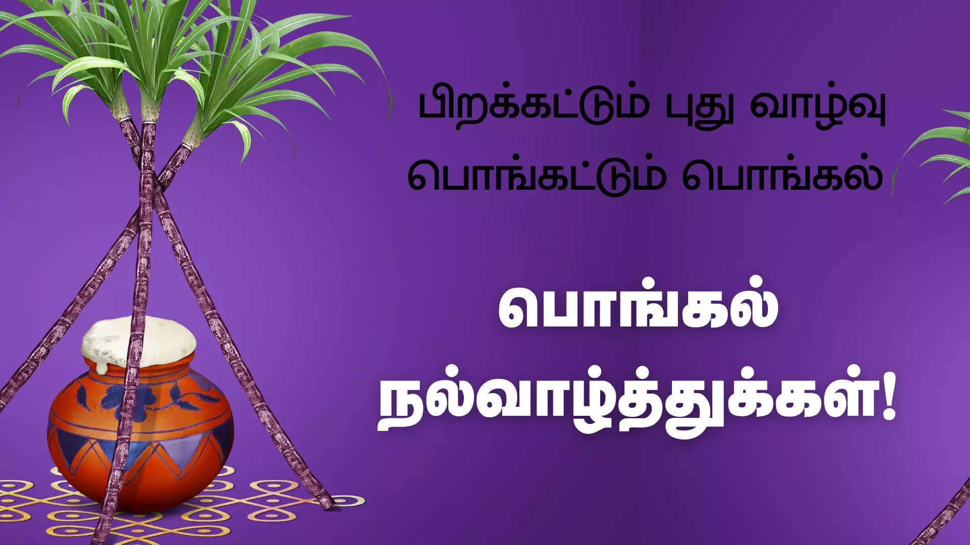 பொங்கலோ பொங்கல் அனைவருக்கும் இனிய பொங்கல் திருநாள் நல்வாழ்த்துக்கள் 