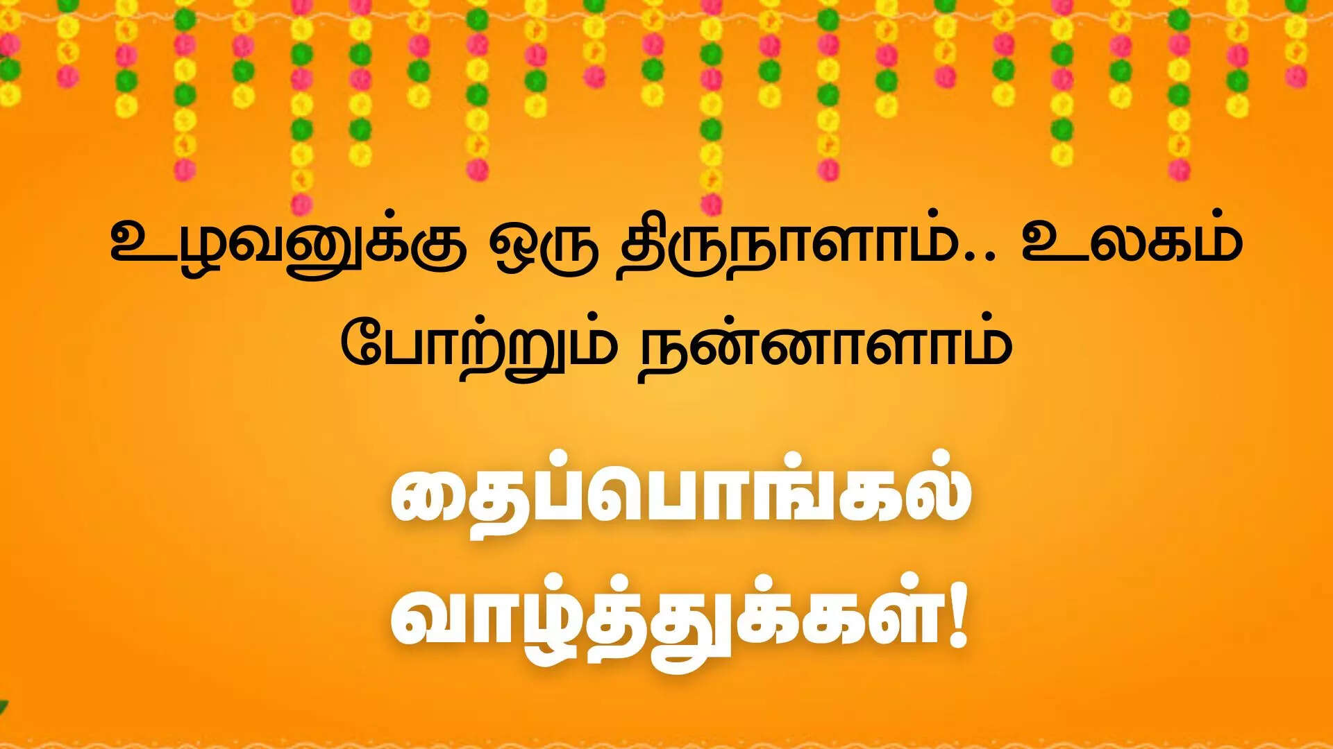 உழவனுக்கு ஒரு திருநாளாம் உலகம் போற்றும் நன்னாளாம் தைப்பொங்கல் பண்டிகை 