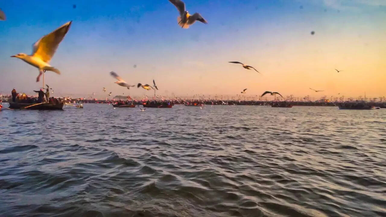 Kumbh Mela Photography Tour Kumbh Mela Photography Tour