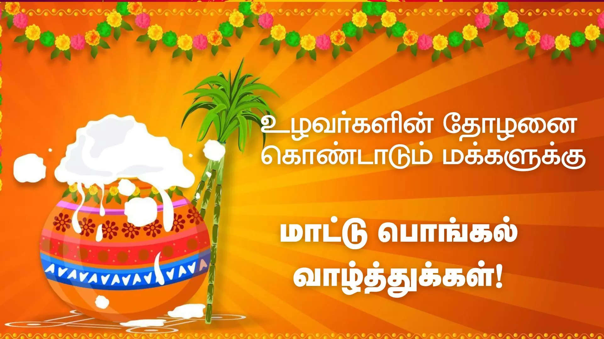 விவசாயிகளுக்கு துணை நிற்கும் இயற்கையையும் காநடைகளையும் இந்நாளில் வணங்கி நன்றி செலுத்துவோம் மாட்டு பொங்கல் பண்டிகை வாழ்த்துக்கள் 