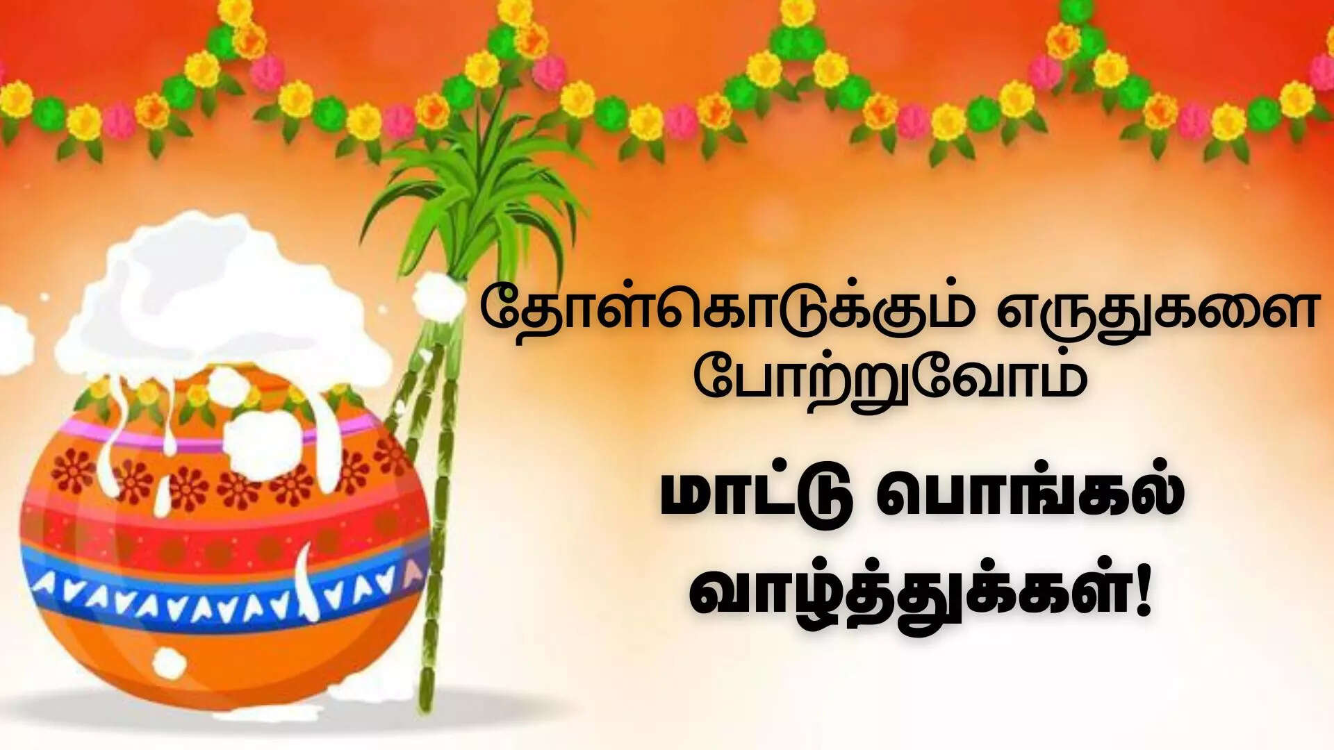 தோள்கொடுக்கும் எருதுகளை போற்றுவோம் மாட்டு பொங்கல்  நல்வாழ்த்துக்கள்   2025 