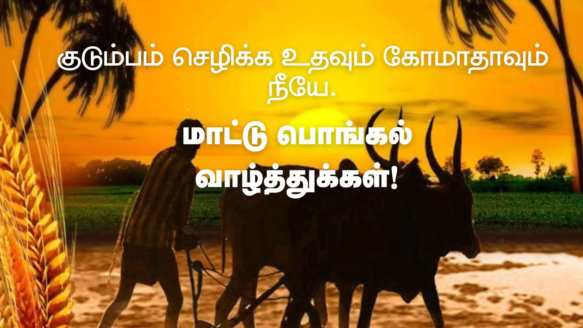 உழவர்களின் தோழனை கொண்டாடும் மக்களுக்கு இனிய மாட்டு பொங்கல் நல்வாழ்த்துகள்