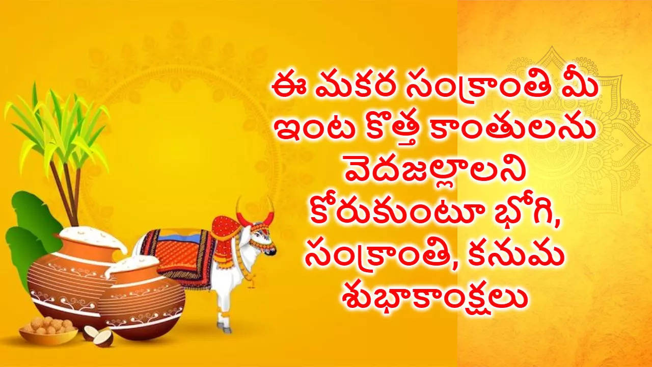 Makara Sankranthi Wishes మీకు మీ కుటుంబ సభ్యులకు సంక్రాంతి శుభాకాంక్షలు