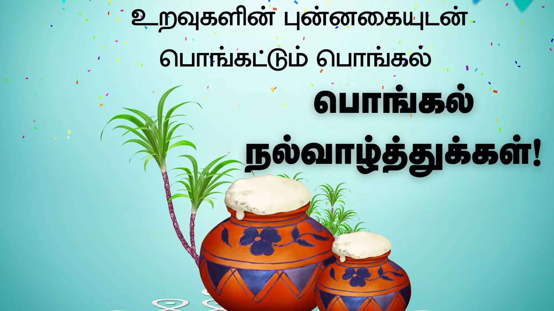 இனிய பொங்கல் தின நல்வாழ்த்துக்கள் 