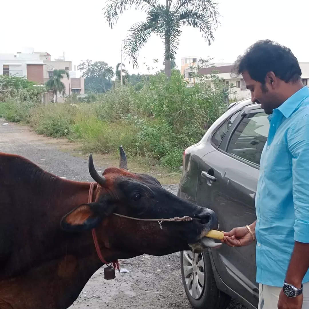 பொங்கல் வாழ்த்து 