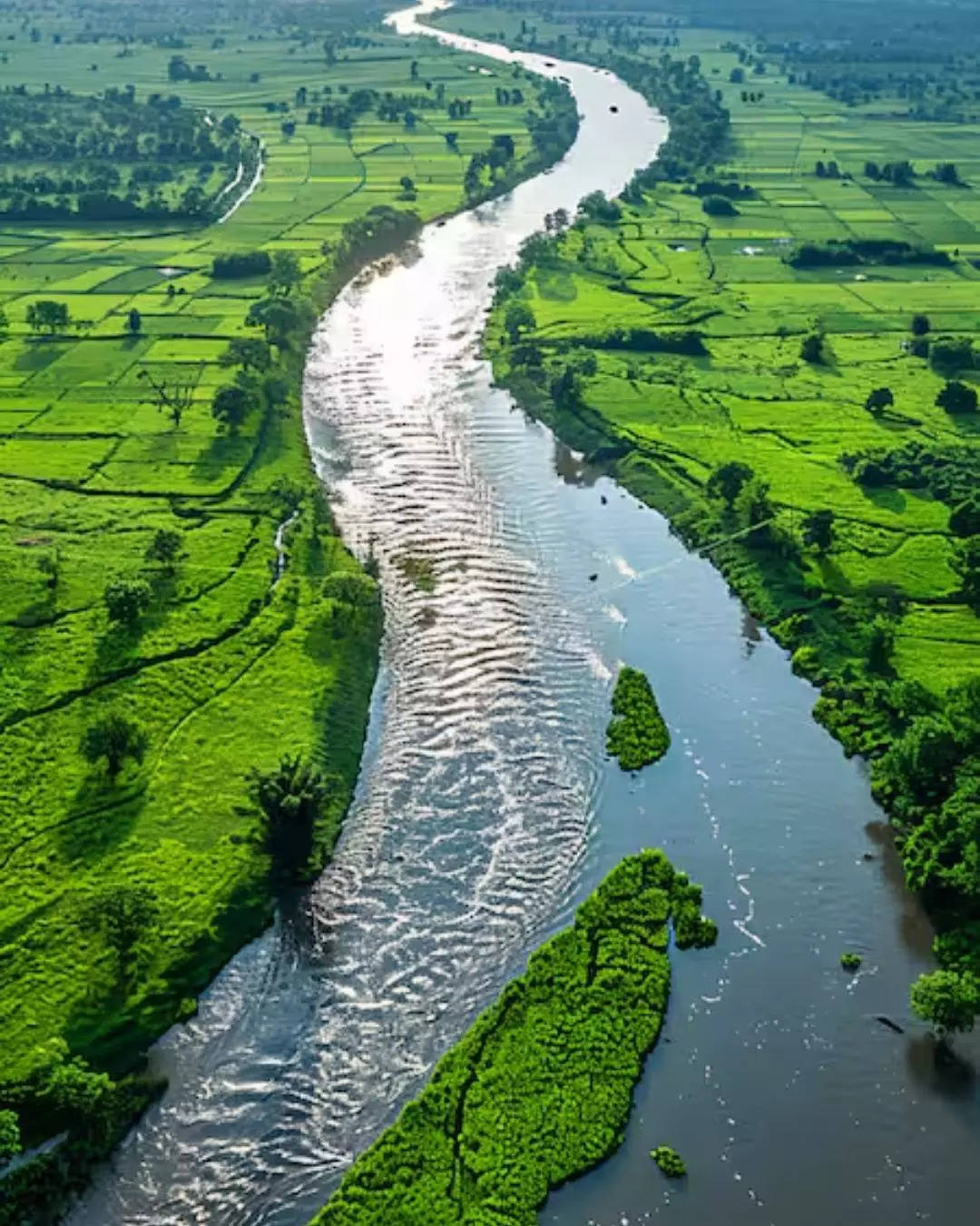 இந்தியாவின் சிவப்பு நதி