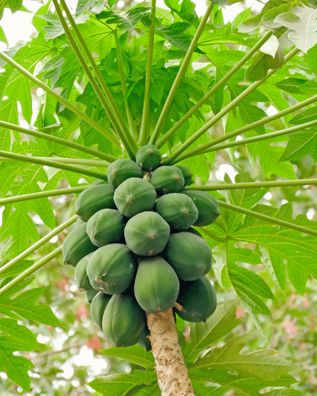 பொருளாதார நெருக்கடிகள் ஏற்படலாம்